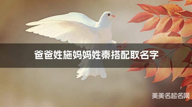 爸爸姓施妈妈姓秦搭配取名字