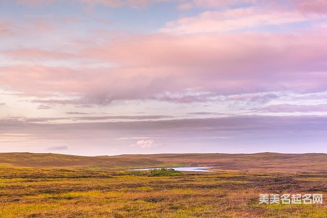 女孩取名：寓意不错的带烁字女孩名字大全