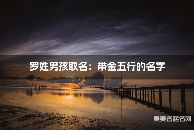 罗姓男孩取名：带金五行的名字（有气质）