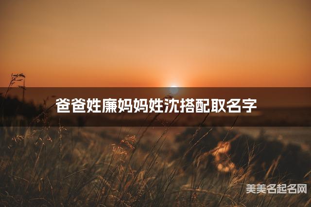 把廉姓和沈姓结合取女宝名字方案参考