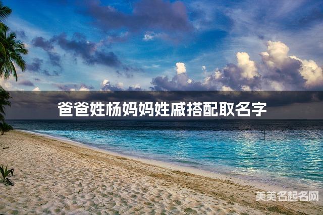 爸爸姓杨妈妈姓戚取名字 男宝宝雅致好听的名字