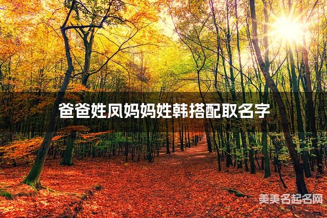 爸爸姓凤妈妈姓韩搭配取名字