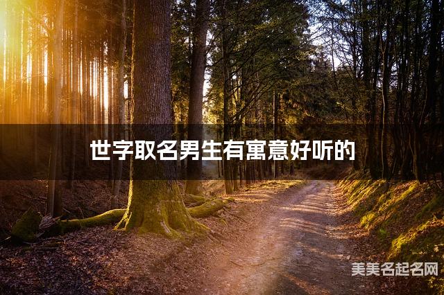 取名字大全女孩免费 世字取名男生有寓意好听的