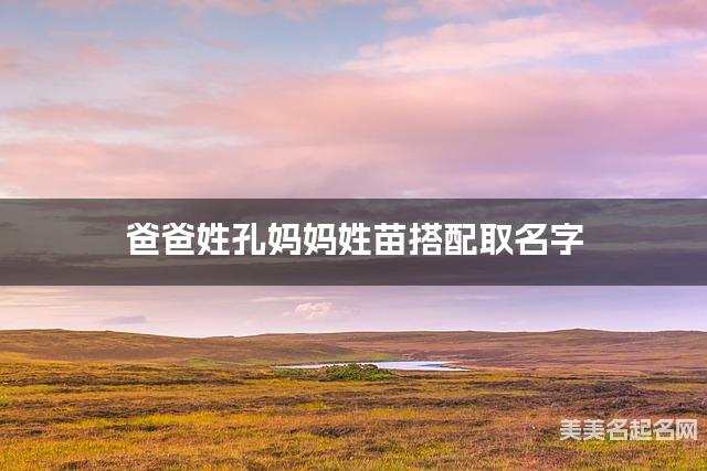 父母孔姓和苗姓男宝取名搭配推荐（有寓意）