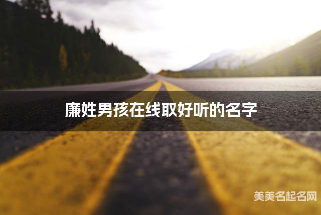 起名取名神器 廉姓男孩在线取好听的名字