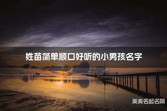 姓苗简单顺口好听的小男孩名字