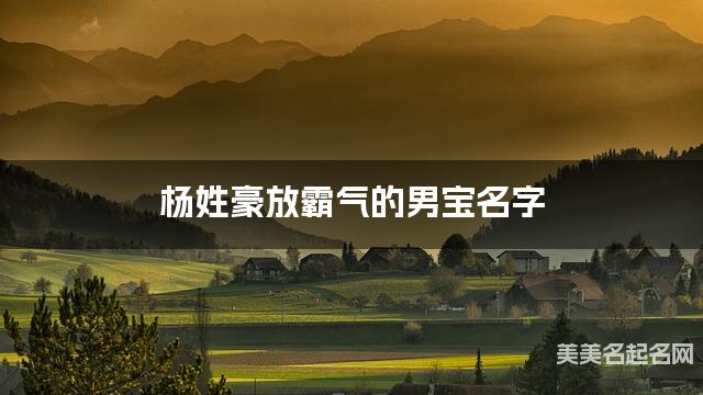 杨姓豪放霸气的男宝名字