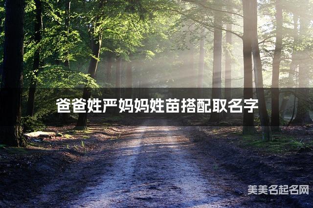 严苗姓氏搭配取名，有含义的男生名字案例