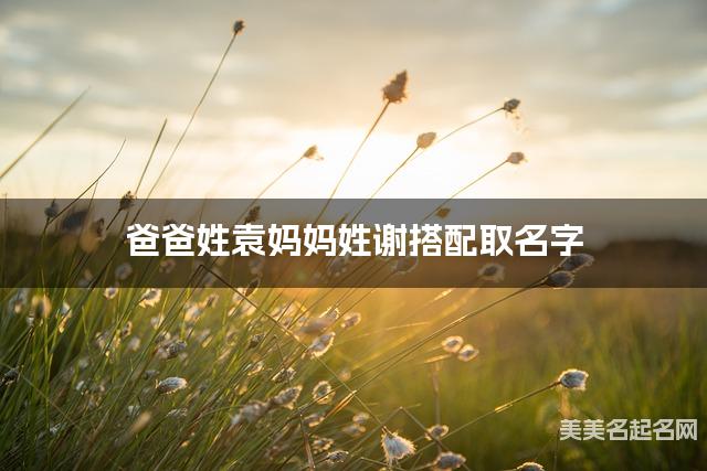 爸爸姓袁妈妈姓谢搭配取名字