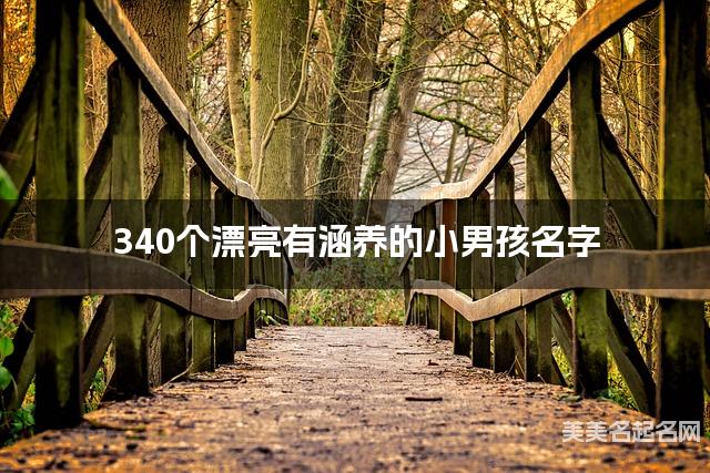 340个漂亮有涵养的小男孩名字