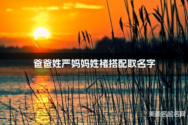 爸爸姓严妈妈姓褚搭配取名字