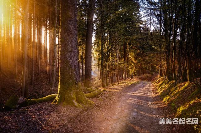 偏旁取名：三点水旁最吉利的字男宝取名