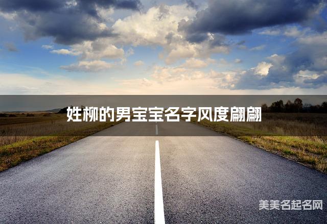 姓柳的男宝宝名字风度翩翩