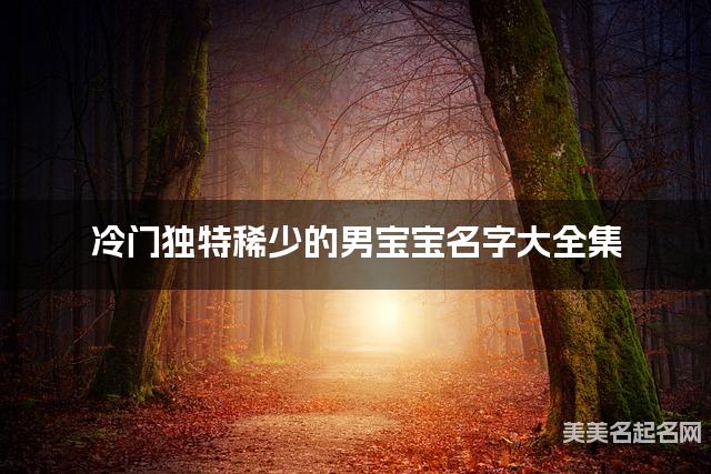 冷门独特稀少的男宝宝名字大全集 有中国文化特色的名字