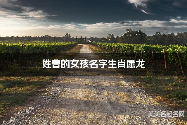 姓曹的女孩名字生肖属龙 有气质的宝宝名字大全