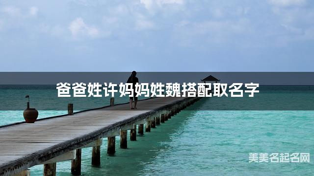 爸爸姓许妈妈姓魏，如何结合两个姓氏取女生名字