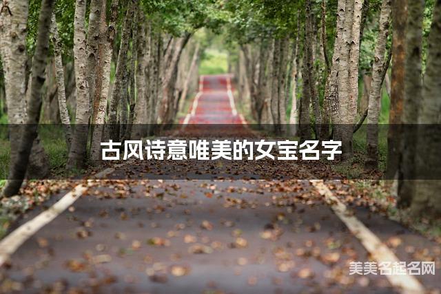 古风诗意唯美的女宝名字（331个最新）