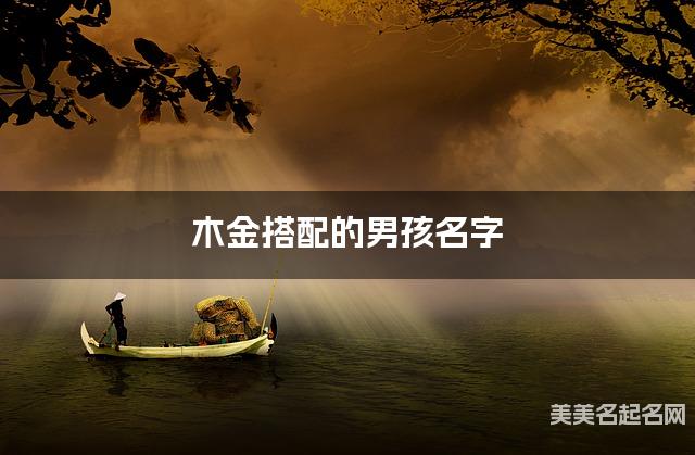 木金搭配的男孩名字 男孩独特有魅力的名字