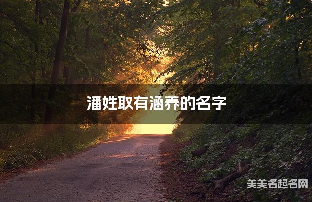 潘姓取有涵养的名字，潘姓男宝高端名字