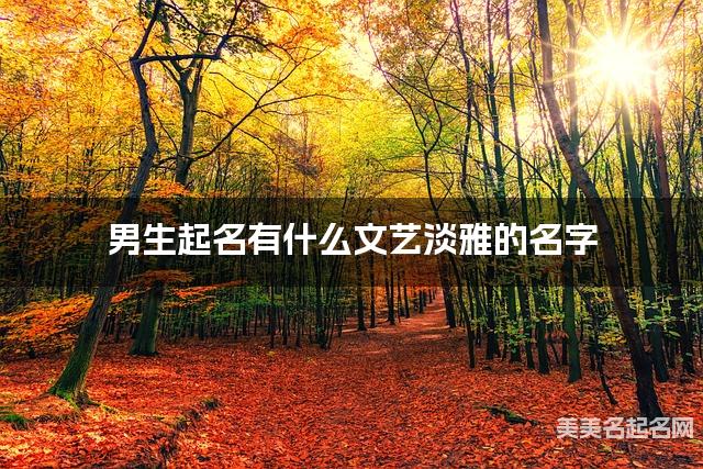 男生起名有什么文艺淡雅的名字 男生起名有什么文艺淡雅的名字
