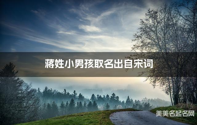 取名字在线生成 蒋姓小男孩取名出自宋词