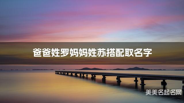 爸爸姓罗妈妈姓苏搭配取名字