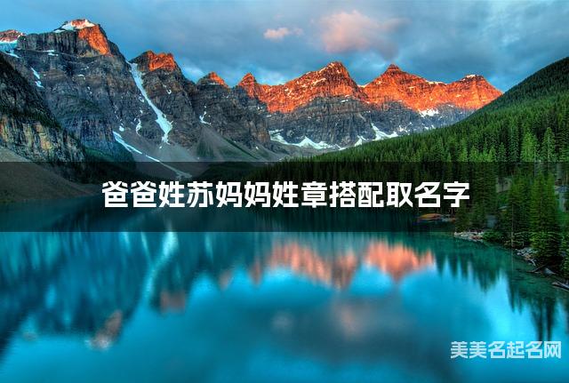 爸爸姓苏妈妈姓章取名字 女宝甜到爆的名字