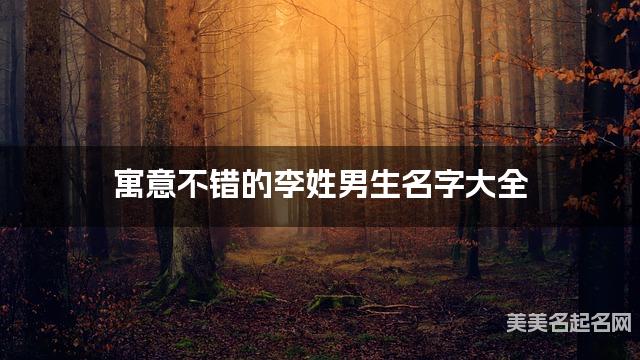 寓意不错的李姓男生名字大全