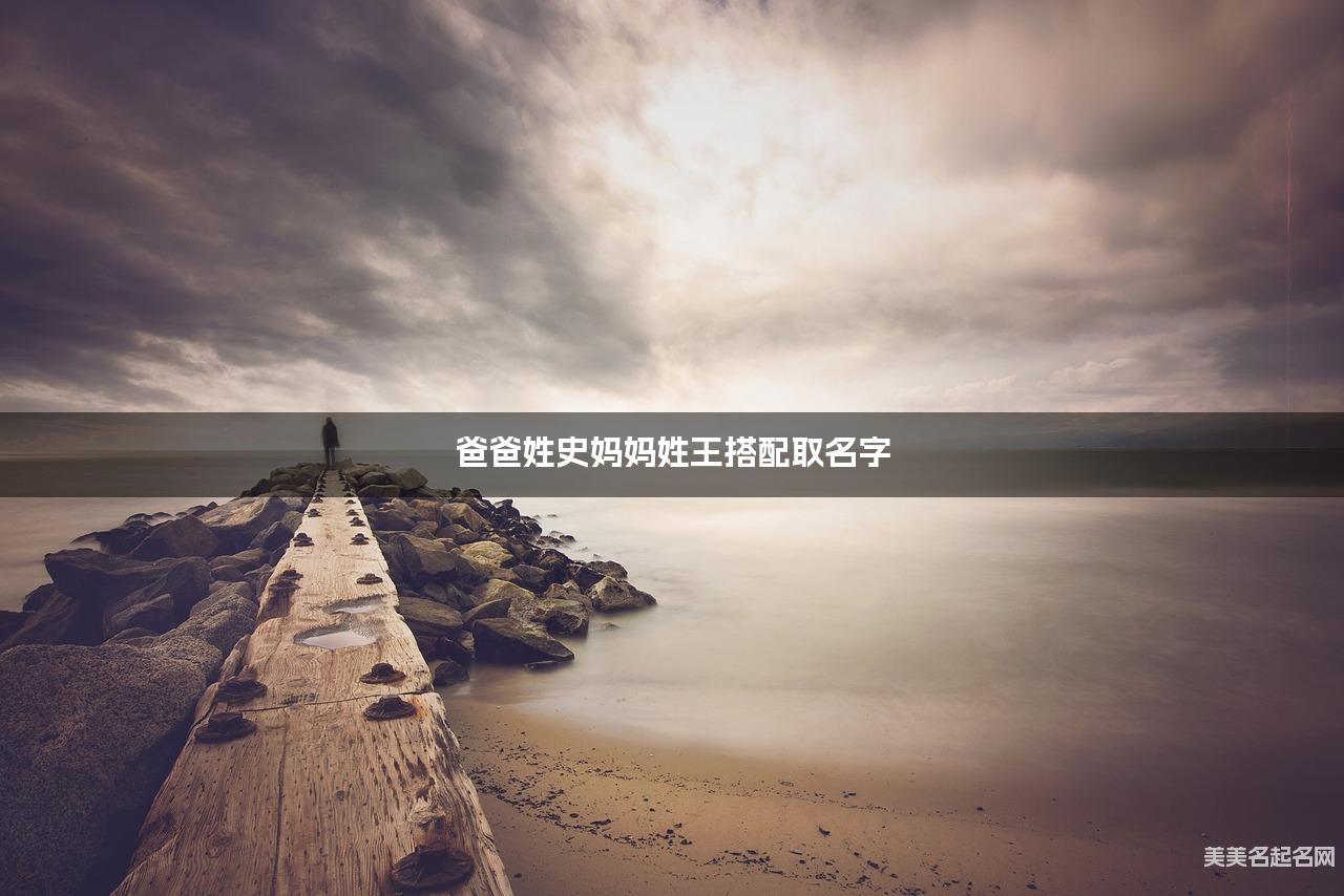 史王姓氏搭配取名，有气质的男孩名字案例