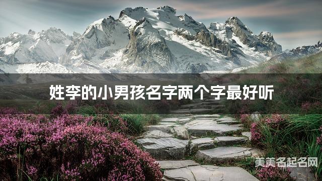 姓李的小男孩名字两个字最好听