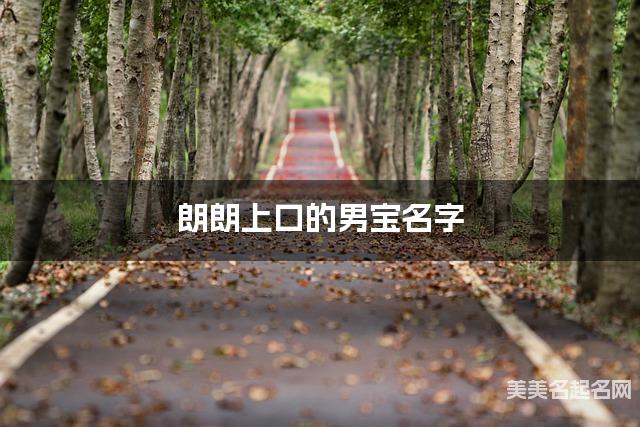 朗朗上口的男宝名字（有诗意476个）