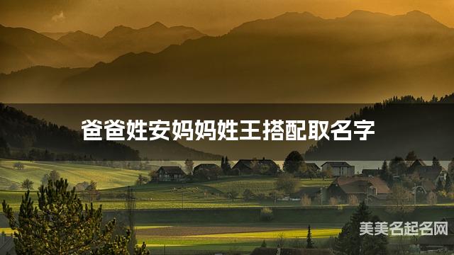 爸爸姓安妈妈姓王取名字 男宝稀有好听的名字