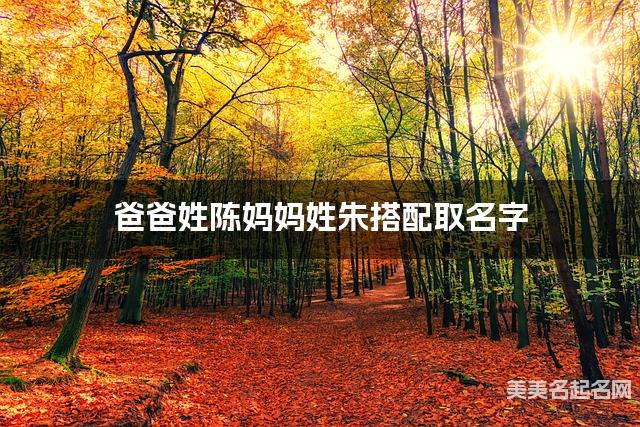 爸爸姓陈妈妈姓朱搭配取名字