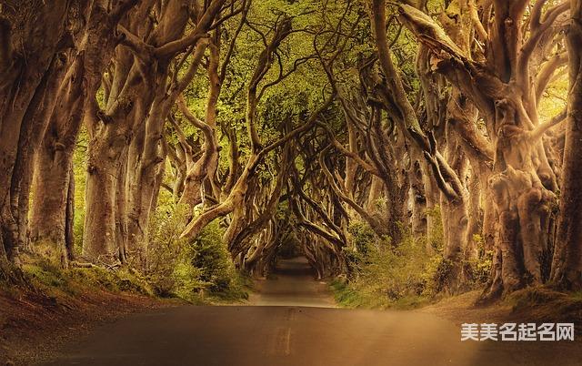 可爱顺口简单的金姓女宝宝名字大全集