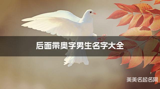后面带奥字男生名字大全