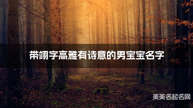 带翊字高雅有诗意的男宝宝名字 大气有气质 带翊字高雅有诗意的男宝宝名字 大气有气质