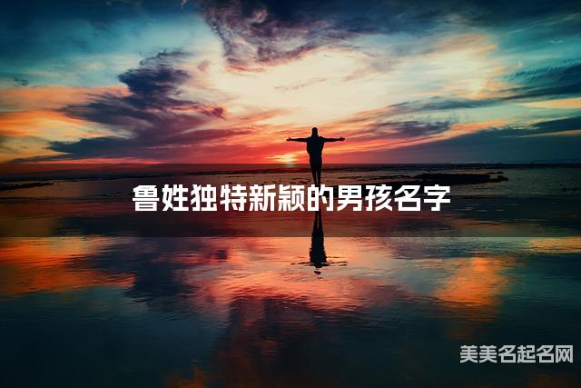 鲁姓独特新颖的男孩名字