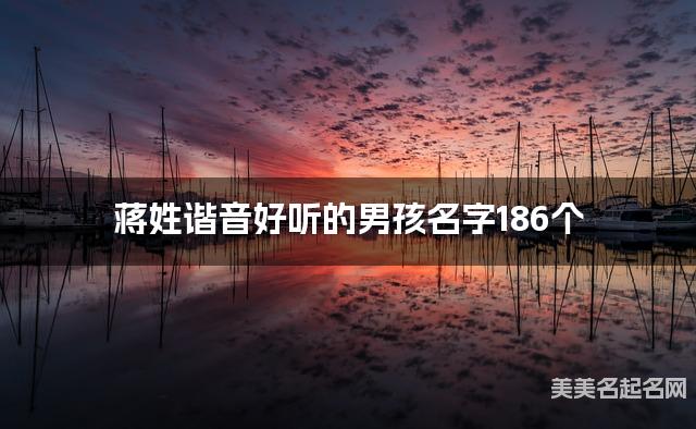 蒋姓谐音好听的男孩名字186个