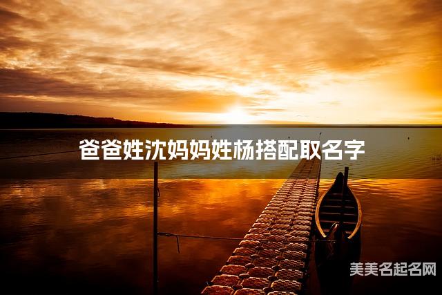 爸爸姓沈妈妈姓杨搭配取名字