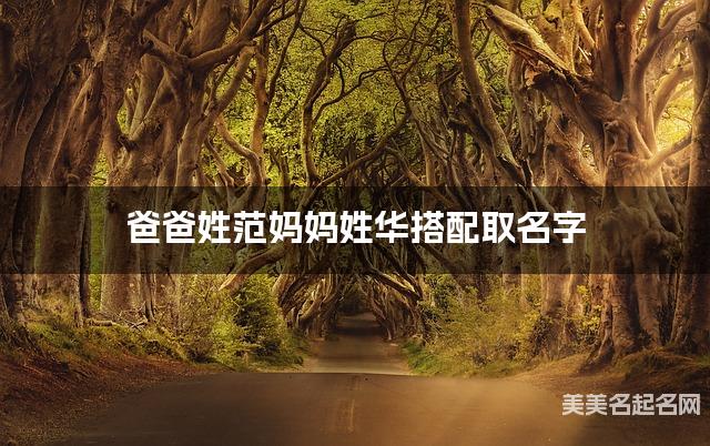 爸爸姓范妈妈姓华搭配取名字