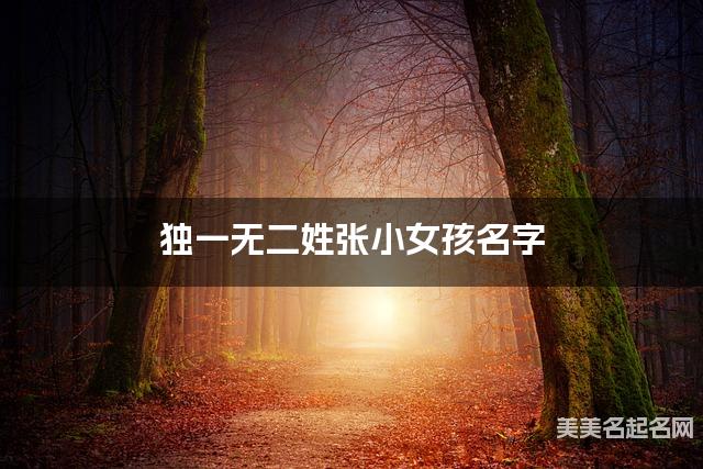 国学大师取名 独一无二姓张小女孩名字