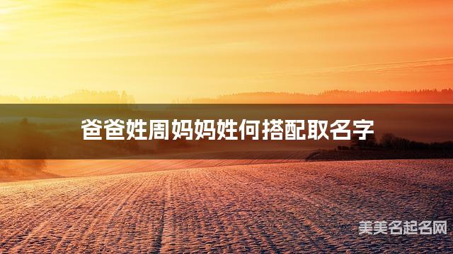 周姓和何姓搭配取名好听的小男孩名字有哪些