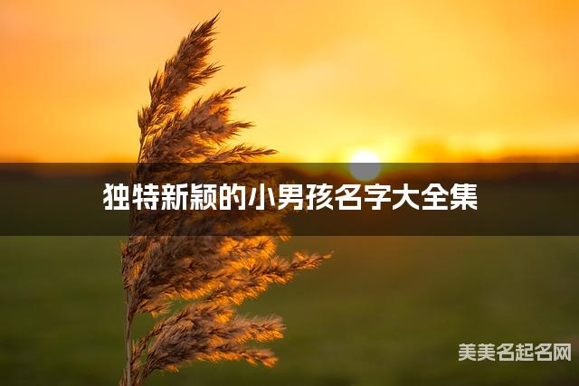 独特新颖的小男孩名字大全集 有中国文化特色的名字