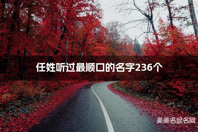 任姓听过最顺口的名字236个