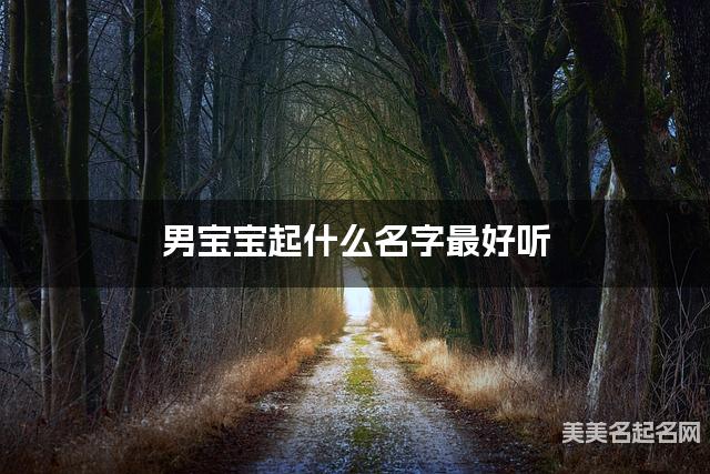 男宝宝起什么名字最好听 宝宝起名推荐(稀有好听) 男宝宝起什么名字最好听 宝宝起名推荐(稀有好听)