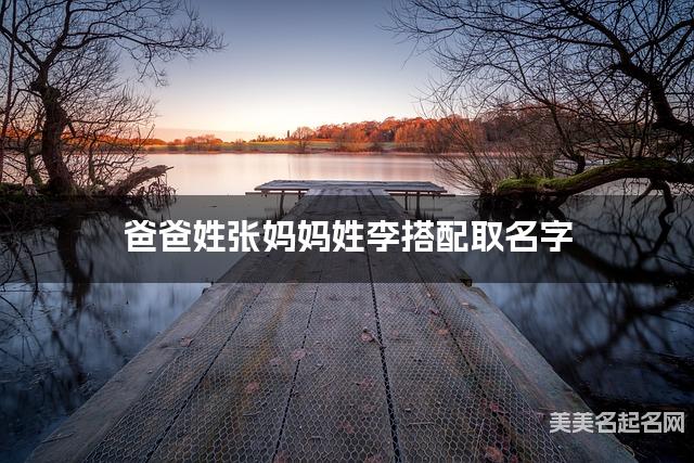 爸爸姓张妈妈姓李取名字 男宝漂亮有涵养的名字