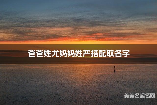 尤姓和严姓搭配取男孩名字推荐