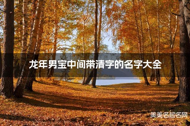 龙年男宝中间带清字的名字大全 龙年男宝中间带清字的名字大全