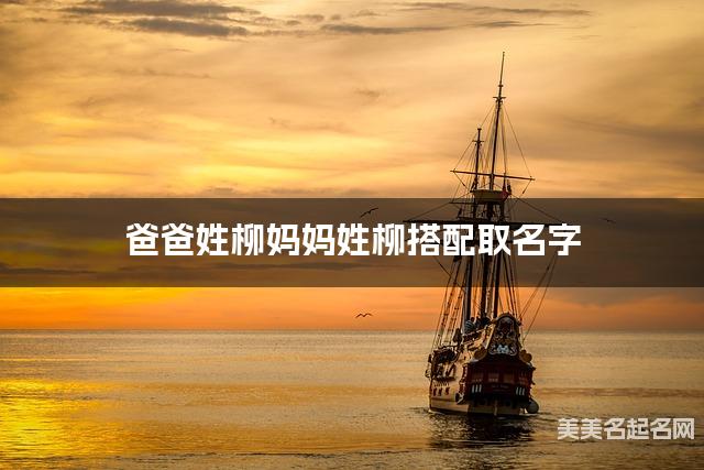 将柳姓和柳姓结合取名字，好听有创意的男生名字推荐