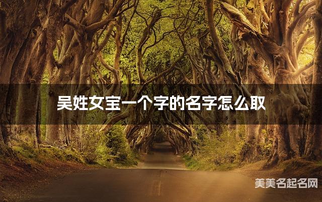 吴姓女宝一个字的名字怎么取 有诗意的宝宝单字名大全 吴姓女宝一个字的名字怎么取 有诗意的宝宝单字名大全